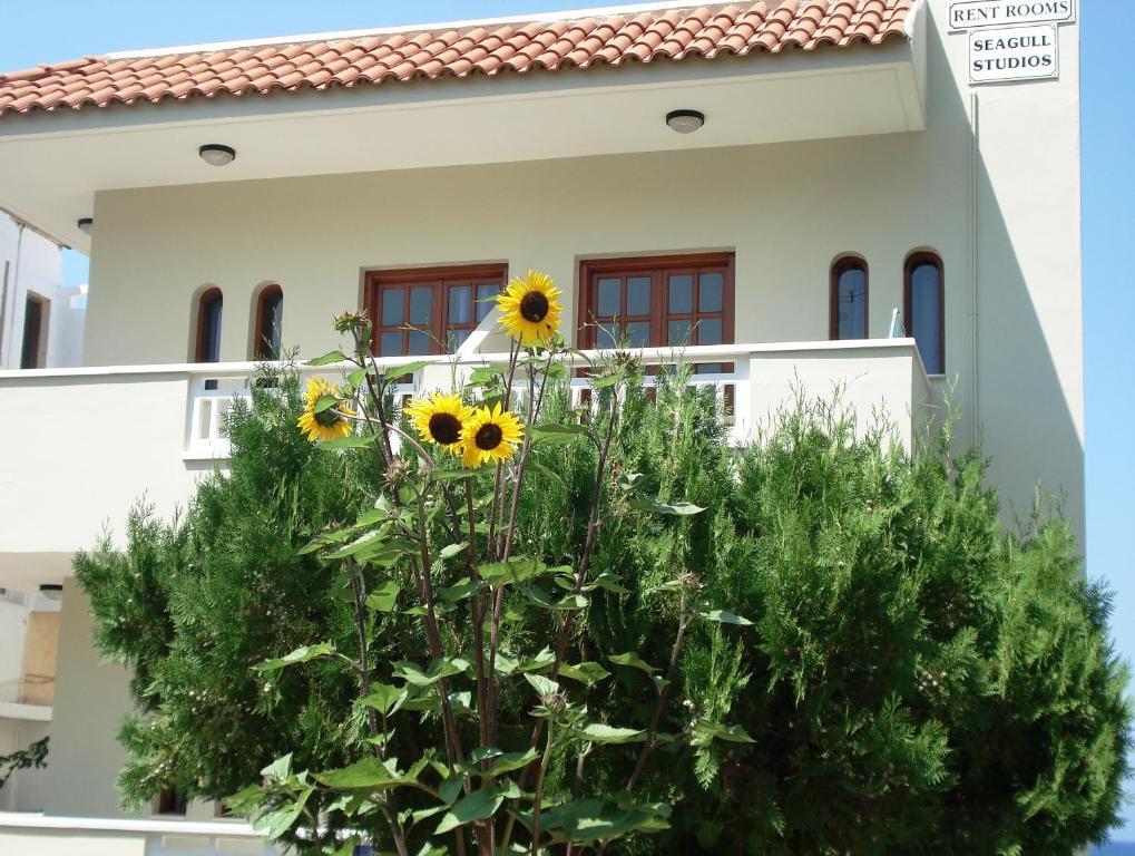 Seagull Studios Сталида Экстерьер фото